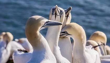 爱游戏体育平台-大牌阵容未能发挥应有水平