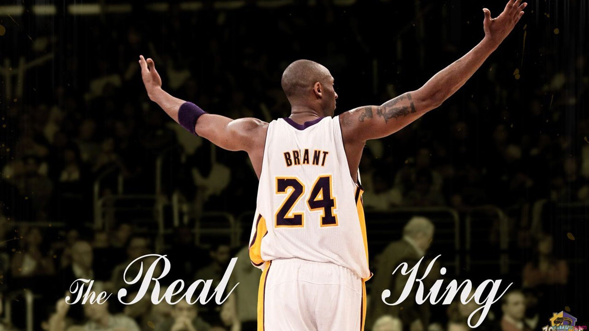 “决战时刻！拳台上的王者之争”